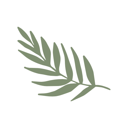 Green fern illustration